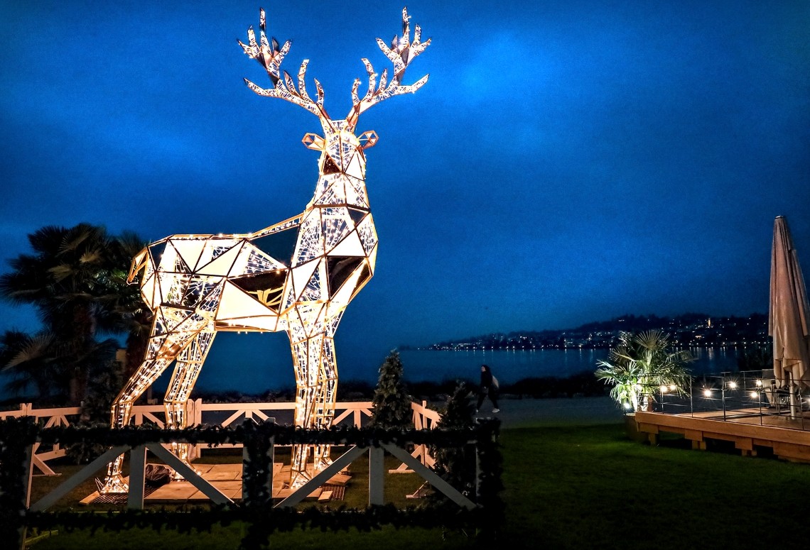 Montreux Christmas Market
